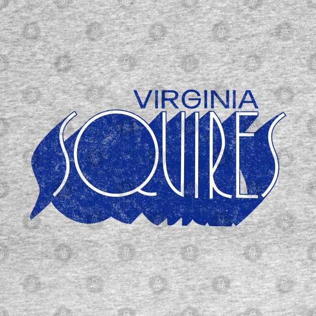 Defunct Virginia Squires ABA Basketball by LocalZonly